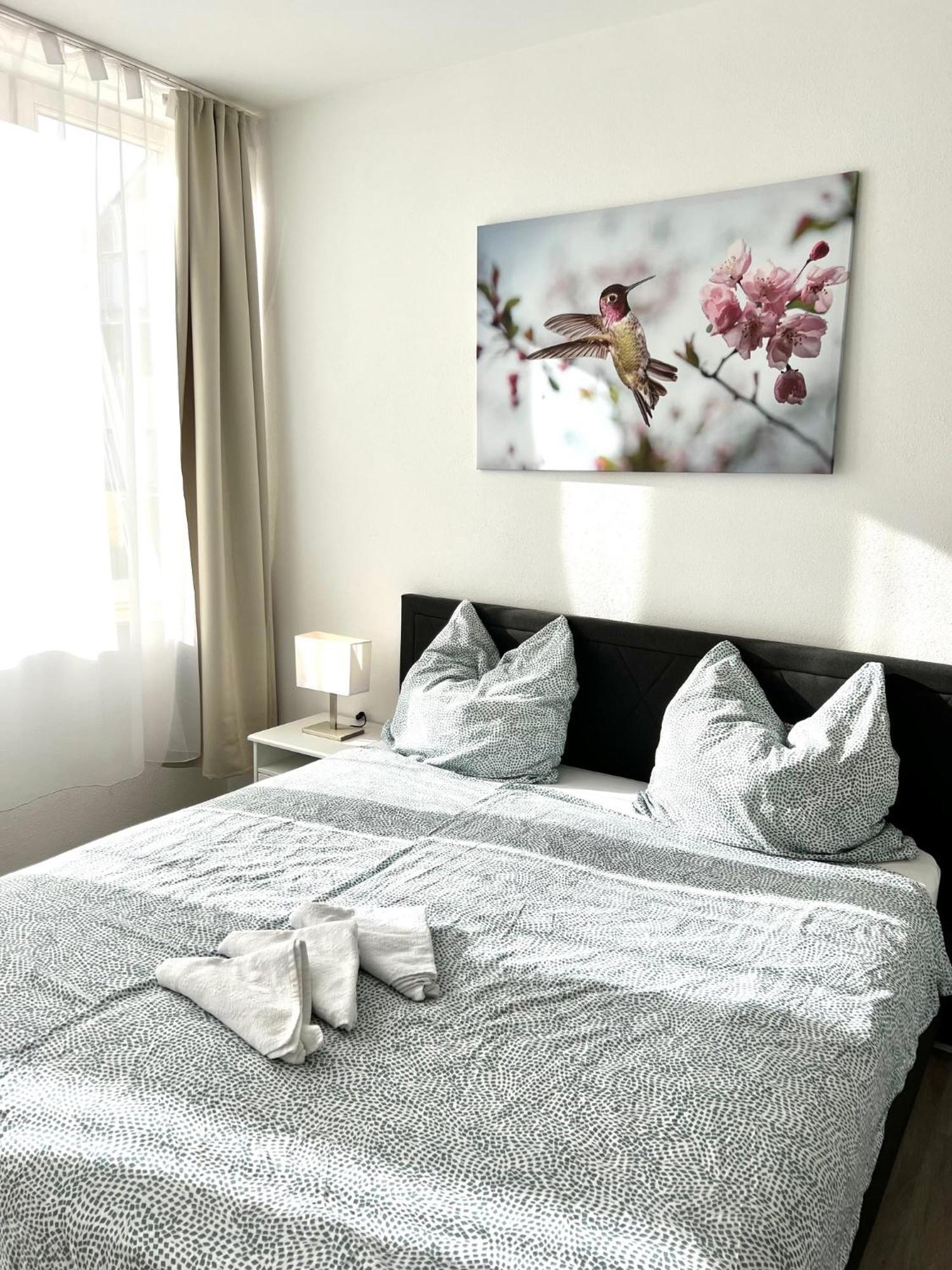 City Appartement Kueche,Bad, Parken Im Zentrum Von رافنسبرغ المظهر الخارجي الصورة